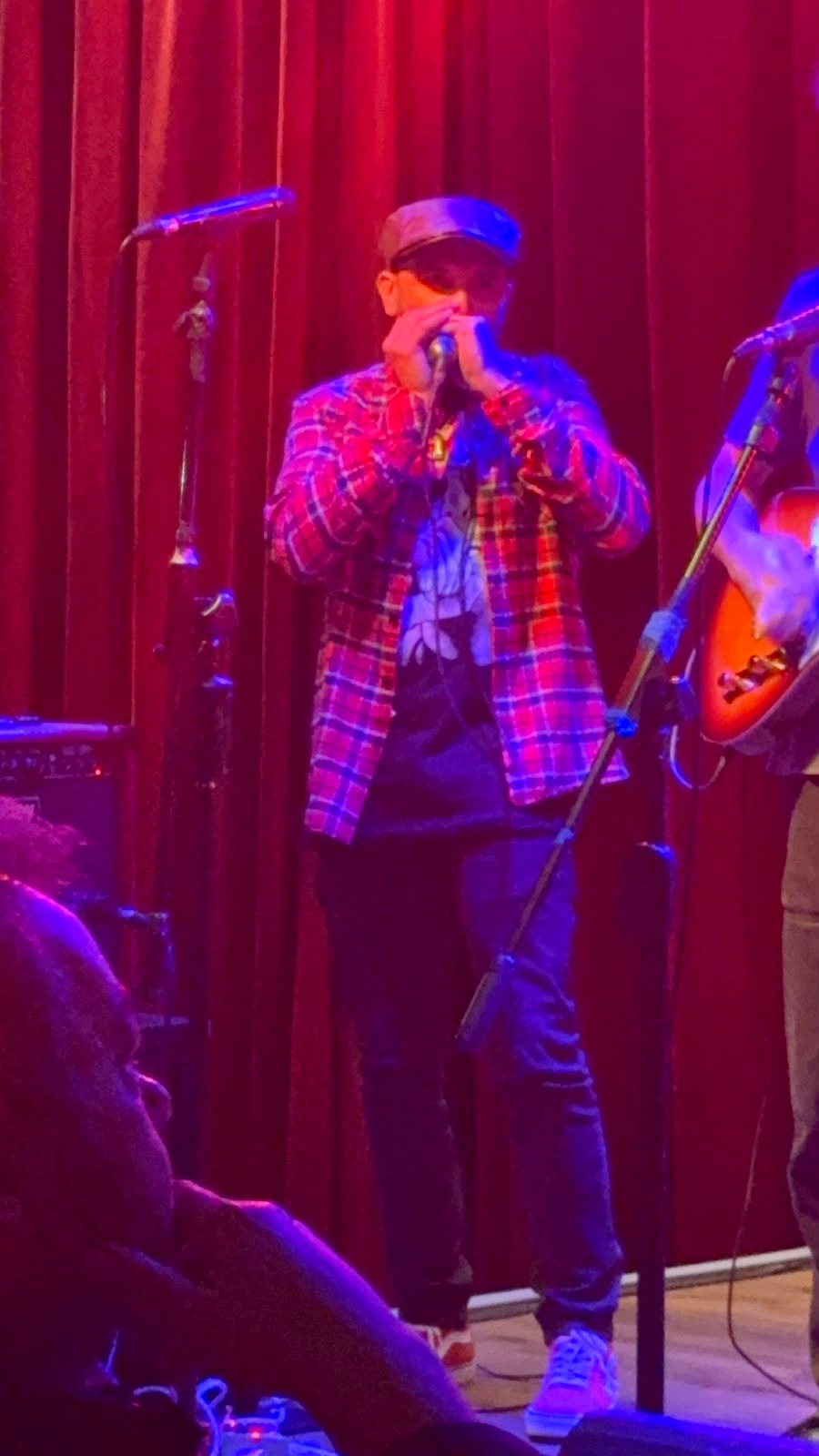 Solo de armónica en concierto